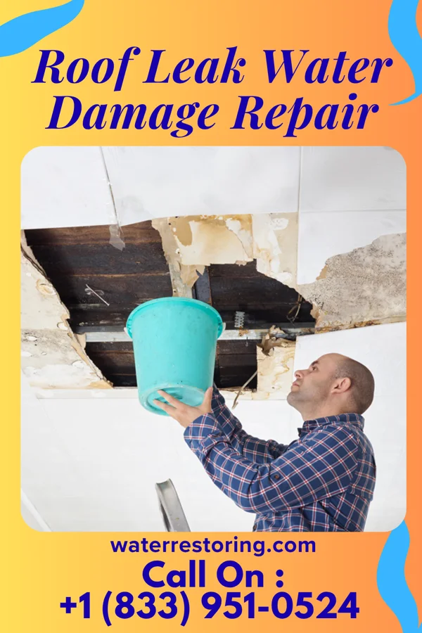 Roof Leak Water Damage Repair in Carytown, MO