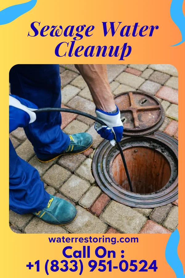 Sewage Water Cleanup in Carytown, MO